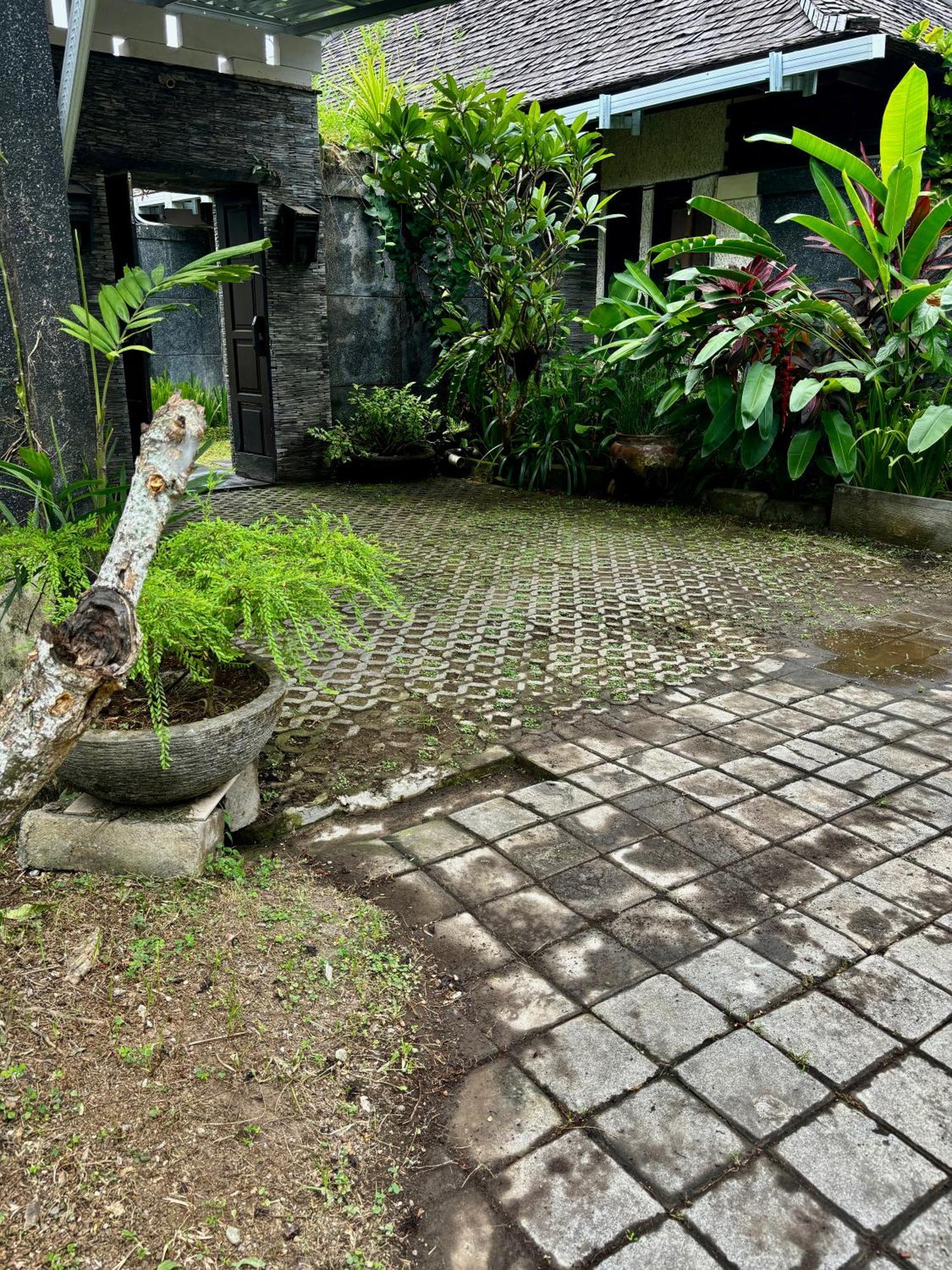Villa Buddha Umalas Kerobokan  Exterior photo